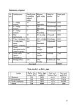 Biznesa plāns 'Biznesa plāns SIA "Pūdži"', 16.