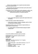 Referāts 'Izglītība', 5.