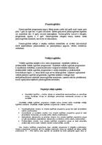 Referāts 'Izglītība', 7.