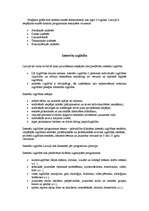 Referāts 'Izglītība', 13.