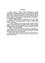 Referāts 'Izglītība', 15.