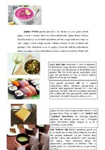 Referāts 'Latvijas un Japānas kultūras salīdzinājums', 10.