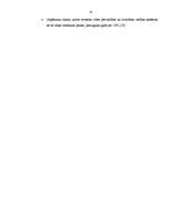 Diplomdarbs 'Vieglā rūpniecība Latvijā no 1998. līdz 2008.gadam', 35.