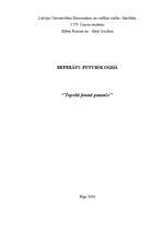 Referāts 'Topošā jaunā pasaule', 1.