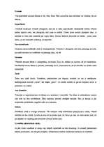 Konspekts 'Īru kultūra', 2.