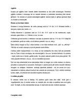 Konspekts 'Īru kultūra', 3.