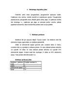 Biznesa plāns 'Biznesa plāns SIA "Košums"', 4.