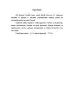 Biznesa plāns 'Biznesa plāns SIA "Košums"', 7.