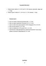 Referāts 'Jauniešu attiecību problēmu atspoguļojums pusaudžu žurnālos', 23.