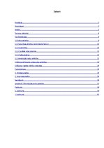 Referāts 'Mūzikas ietekme uz cilvēka garīgo un intelektuālo attīstību', 4.