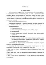 Referāts 'Mūzikas ietekme uz cilvēka garīgo un intelektuālo attīstību', 8.