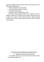 Biznesa plāns 'SIA "Skaistums"', 11.