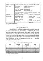 Biznesa plāns 'SIA "Skaistums"', 16.