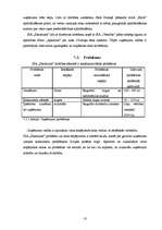 Biznesa plāns 'SIA "Skaistums"', 18.