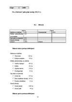 Biznesa plāns 'SIA "Skaistums"', 20.