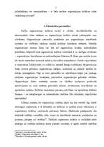 Referāts 'Organizāciju kultūras veidošanās', 7.