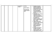 Prakses atskaite 'Aktīvā mācību audzināšanas prakse', 9.