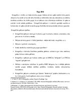 Eseja 'Etnogrāfiskie pētījumi', 2.