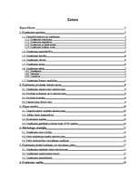 Biznesa plāns 'Biznesa plāns viesu namam', 2.