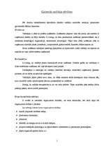 Referāts 'Vadītāja profesionālā etiķete', 2.