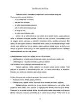 Referāts 'Vadītāja profesionālā etiķete', 10.