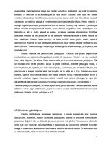 Referāts 'Viesnīcu veidi un funkcijas Bauskas rajonā', 8.