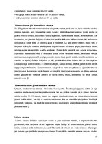 Referāts 'Viesnīcu veidi un funkcijas Bauskas rajonā', 10.