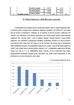 Referāts 'Viesnīcu veidi un funkcijas Bauskas rajonā', 17.