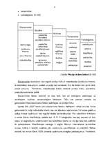 Referāts 'Klientu apkalpošanas iespēju pilnveidošana tūrisma aģentūrā', 8.