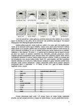Referāts 'Nafta', 3.