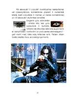 Referāts 'Gotiskā subkultūra', 13.