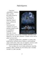 Referāts 'Gotiskā subkultūra', 27.