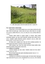 Diplomdarbs 'Tūristu un atpūtnieku atsevišķu ietekmes uz vidi veidu novērtējums Cirmas ezera ', 21.