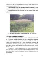 Diplomdarbs 'Tūristu un atpūtnieku atsevišķu ietekmes uz vidi veidu novērtējums Cirmas ezera ', 22.