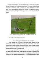 Diplomdarbs 'Tūristu un atpūtnieku atsevišķu ietekmes uz vidi veidu novērtējums Cirmas ezera ', 34.