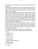 Referāts 'Pārdošanas apjoma palielināšanas iespējas uzņēmumā I/K "Svitenes aptieka"', 19.