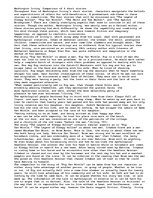 Eseja '"The Legend of Sleepy Hollow", "Rip Van Winkle", "The Devil and Tom Walker", and', 1.