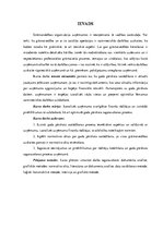 Prakses atskaite 'Gada pārskata sastādīšana un svarīgāko radītāju analīze pakalpojumu sniegšanas u', 3.