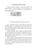 Prakses atskaite 'Gada pārskata sastādīšana un svarīgāko radītāju analīze pakalpojumu sniegšanas u', 11.