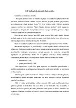 Prakses atskaite 'Gada pārskata sastādīšana un svarīgāko radītāju analīze pakalpojumu sniegšanas u', 19.