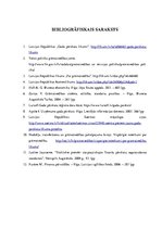 Prakses atskaite 'Gada pārskata sastādīšana un svarīgāko radītāju analīze pakalpojumu sniegšanas u', 35.