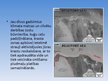 Prezentācija 'Ģeoloģiskās vides ietekme uz cilvēka dzīves apstākļiem', 18.