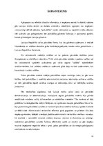 Referāts 'Pašvaldības vieta valsts pārvaldē un statusa juridiskais raksturojums', 15.