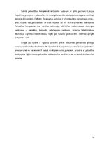 Referāts 'Pašvaldības vieta valsts pārvaldē un statusa juridiskais raksturojums', 16.