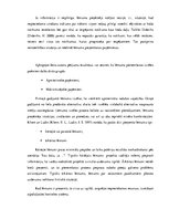 Diplomdarbs 'Jauno autovadītāju lēmuma pieņemšanas process autoavārijas negadījumā', 10.