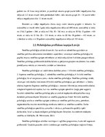 Diplomdarbs 'Jauno autovadītāju lēmuma pieņemšanas process autoavārijas negadījumā', 13.