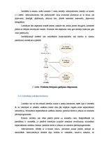Konspekts 'Programmatūras prasību specifikācija e-veikalam', 4.