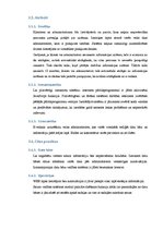 Konspekts 'Programmatūras prasību specifikācija e-veikalam', 17.