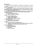 Konspekts 'Standarts ISO 9000 : 2000', 10.