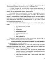 Referāts 'Tūrisma attīstības iespējas Ainažu pilsētā un tās lauku teritorijā', 6.